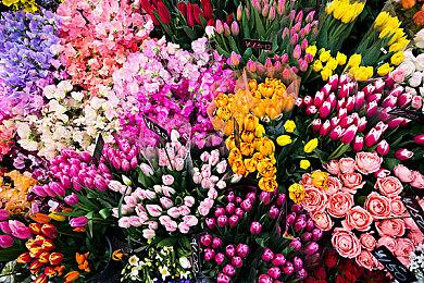 特别好评末日生存游戏 《潜行者：切尔诺贝利的阴影》更新繁中支持