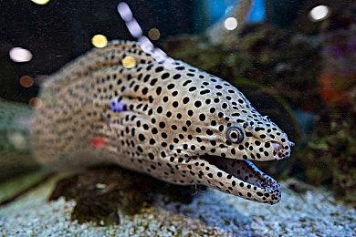 前暴雪总裁建议Xbox：能做出伟大游戏是一切前提